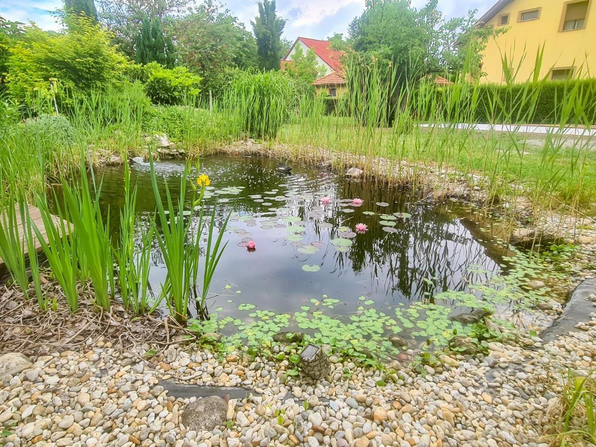 Ditlin Apartmanok Papa Ngoại thất bức ảnh